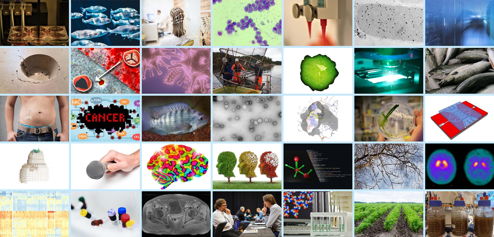 Collage pictures 35 projects