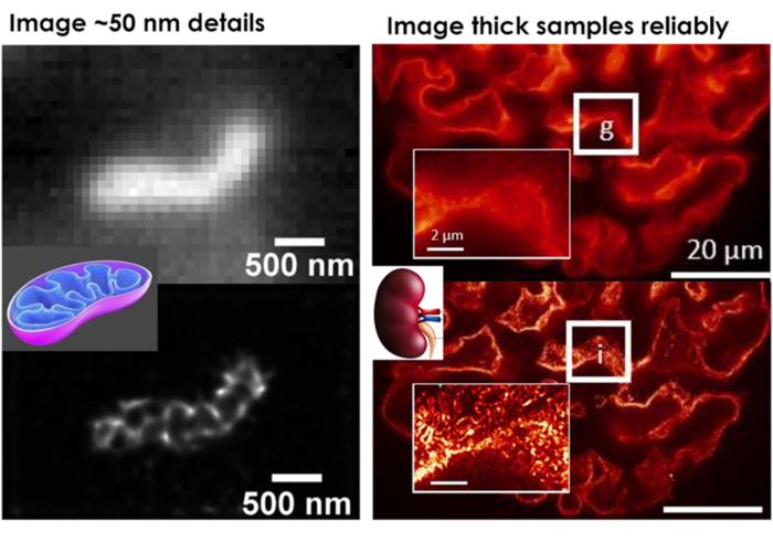 An illustration of microscopy details.