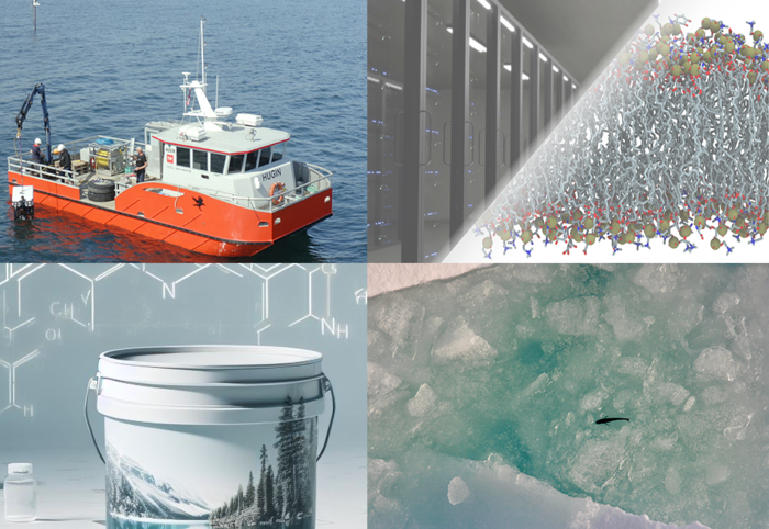  Illustrations of the projects: the research vessel Hugin, depictions of lipids, a fish in ice, and new epoxies