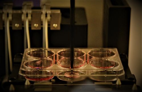 Activity in a lab