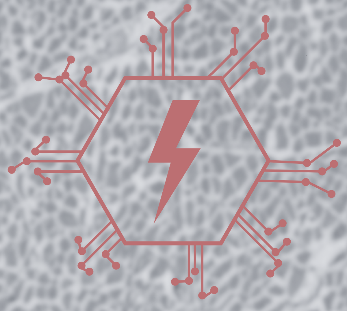 An illustration that shows that the idea is to measure the response from skeletal muscles after applying electrical current
