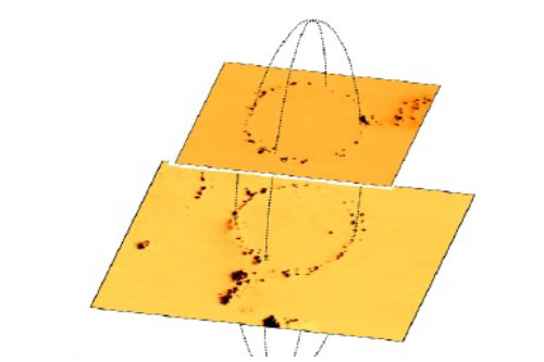 Three-dimensional magnetic reconstruction of the bacterial cross-sections.