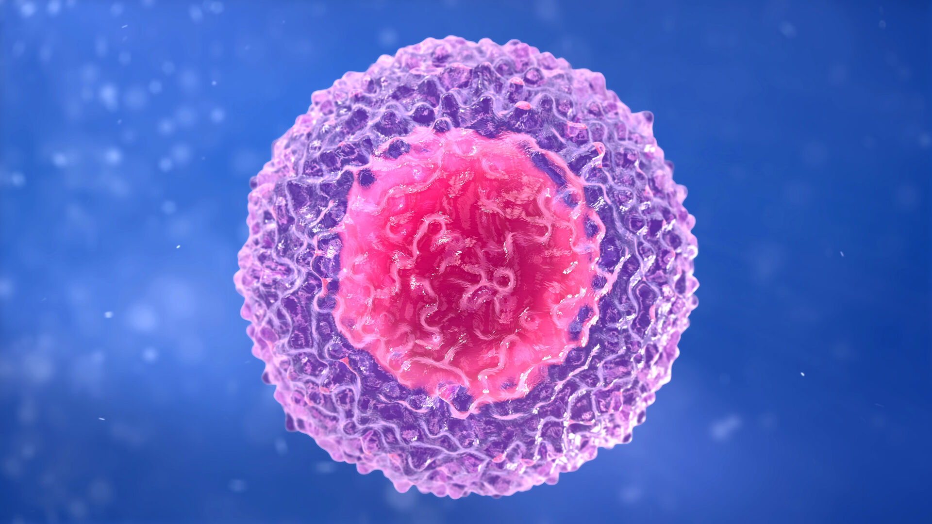T Cell - t-lymphocyte. white blood cell. Lymphocyte. B-Lymphocyte