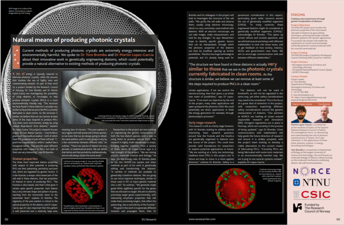 A picture of the article
