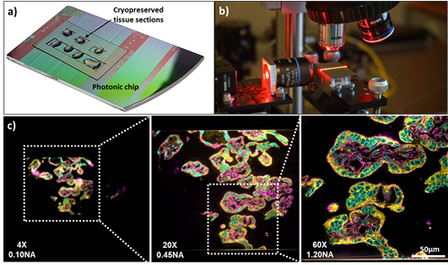 nanorip_photonic-chip-containing