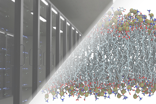 A data server and lipid structures