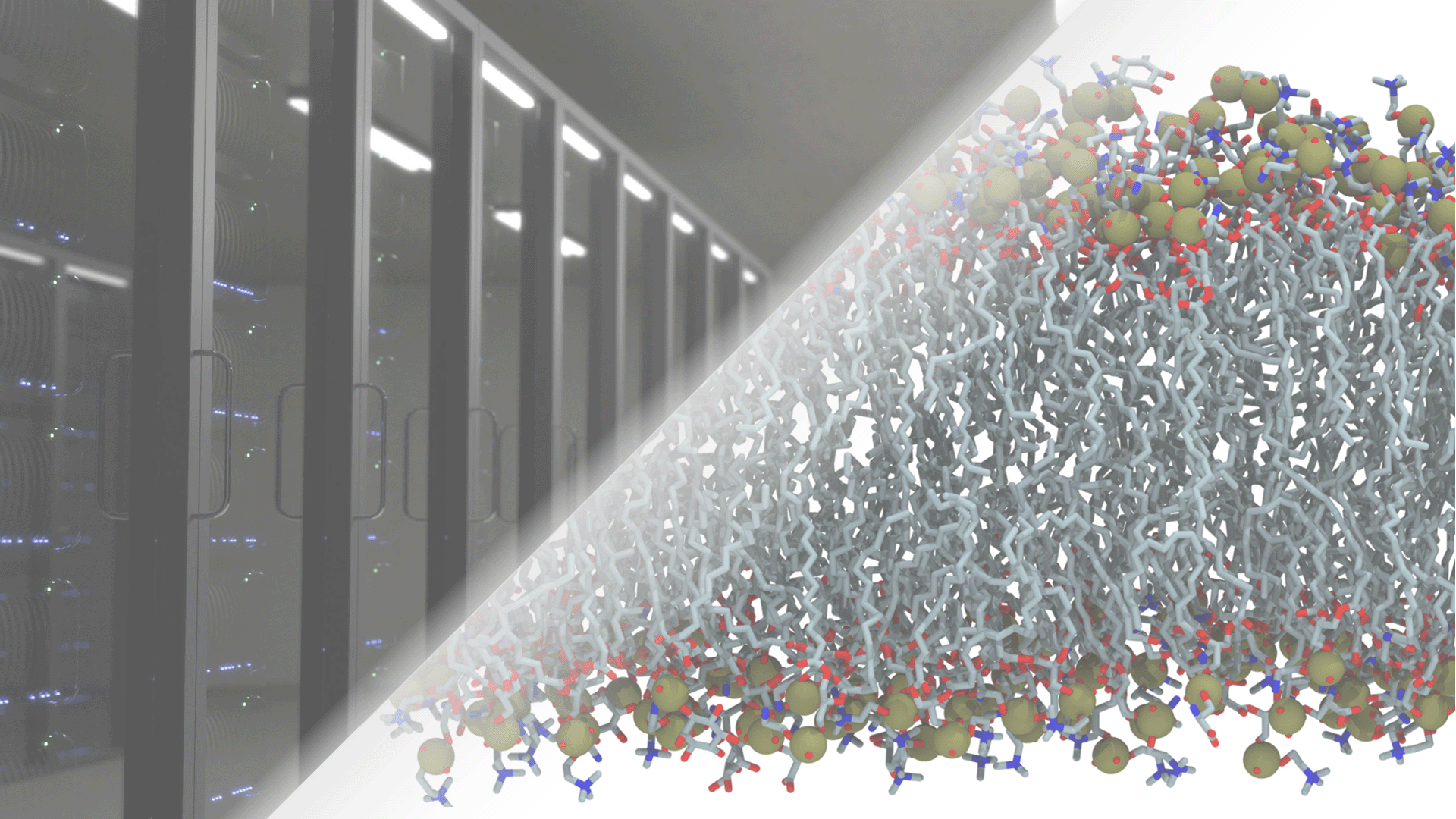 A picture showing data servers and lipid structures