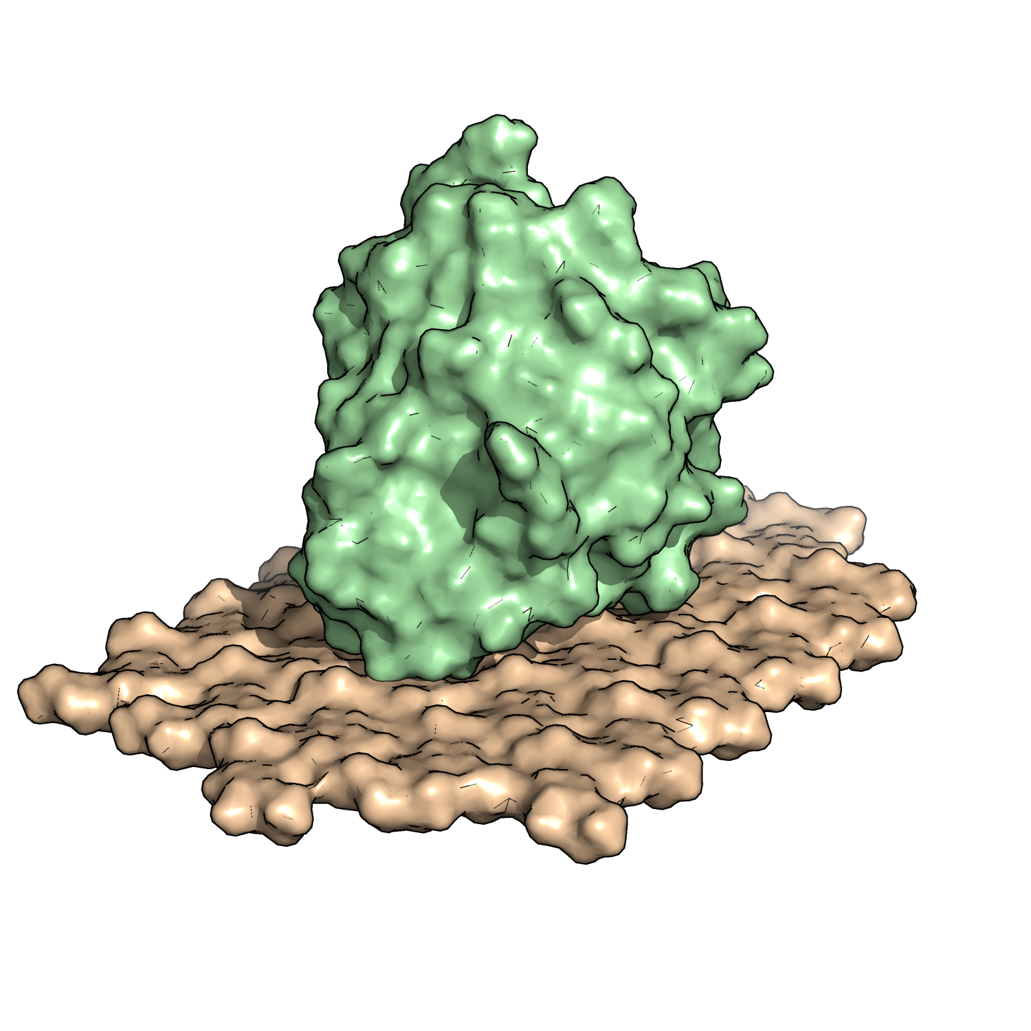 Alternative picture for the left panel shown above. Same text, but other polymer colour and active site not shown (picture by Åsmund K Røhr; NMBU).