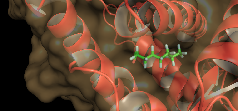Protein structures