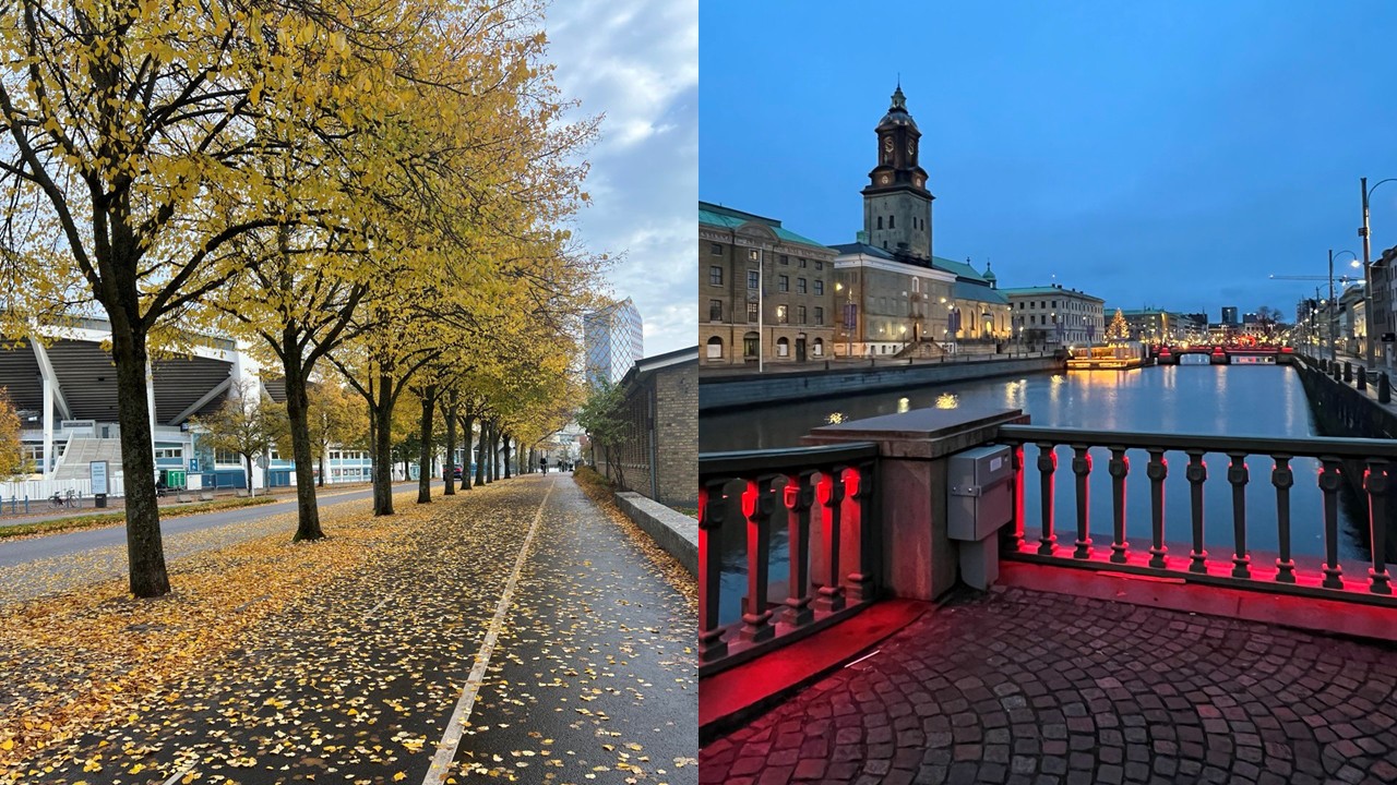Two pictures from Gothenburg, one with fall leaves, the other with a Christmas tree